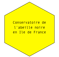 

Conservatoire de l’abeille noire 
en Ile de France