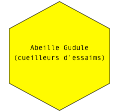 



Abeille Gudule (cueilleurs d’essaims)